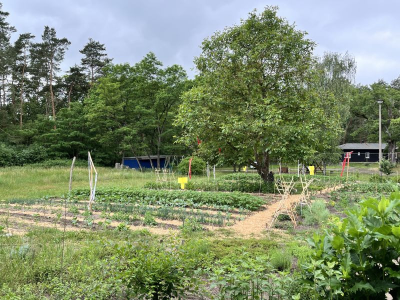 Auf der Montessori-Farm