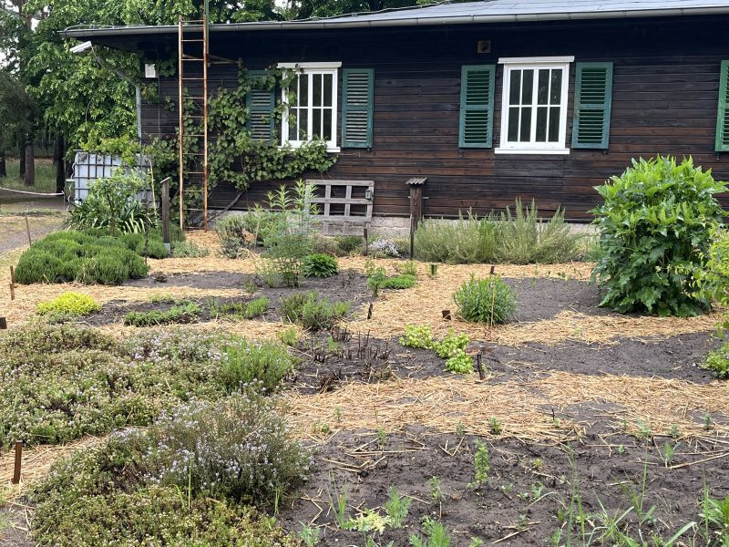 Auf der Montessori-Farm