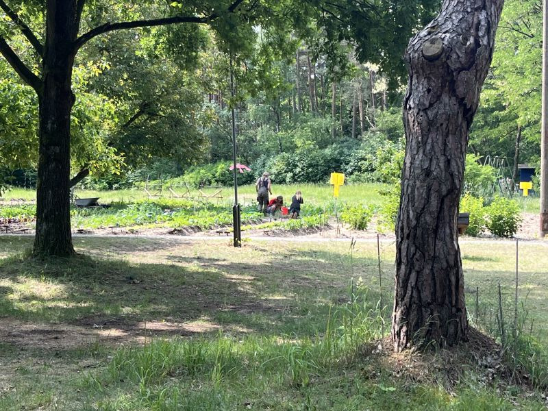 Auf der Montessori-Farm