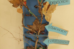 Stockwerke des Waldes