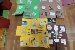 Infowürfel zu Waldtieren