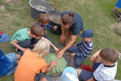 Lehmabdruck von Blättern