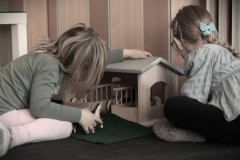 Gemeinsames Spiel