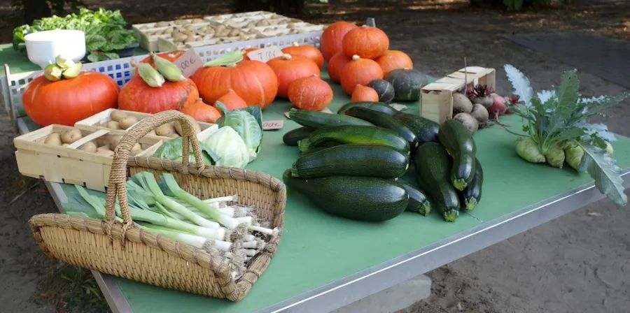 2. Erntefest auf der Montessori Farm