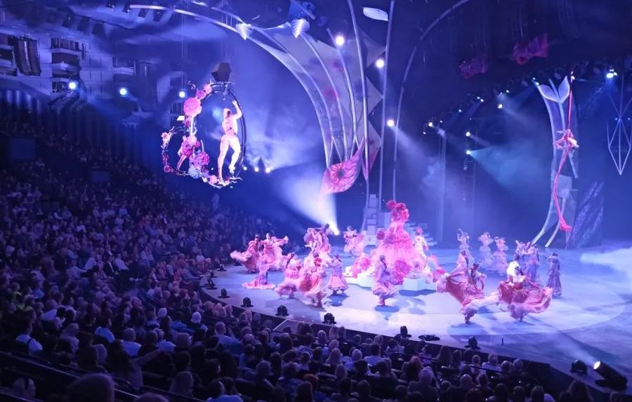 Ein Fazit der Eulen und Wölfe zum Jahresende