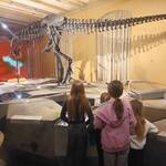 Tierischer Januar in der Igel- und Flamingo-Gruppe