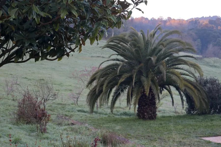 Erasmus+ Reise zur Farm der Montessori Schule Santiago de Compostela in Galizien