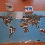 Tiere, Tiere überall – auf den Spuren unserer heimischen und weltweiten Fauna