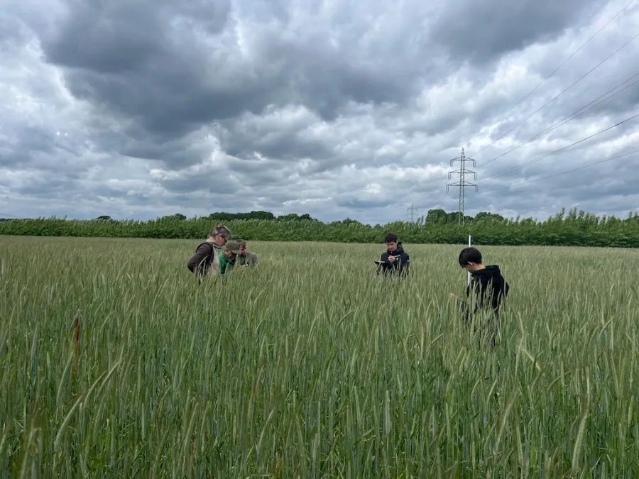 Agroforst-Monitoring der Universität Münster auf einem Bauernhof in der Prignitz mit einigen Erdkindern