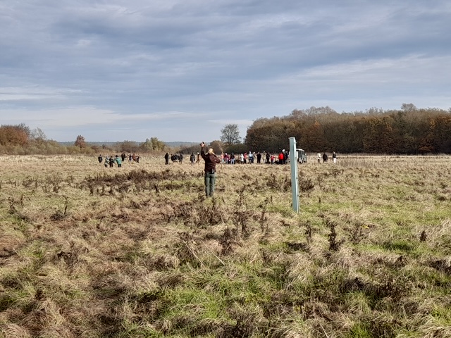120 Flatterulmen – Schüler unserer Grundschule helfen mit bei den alljährlichen Baumpflanzungen