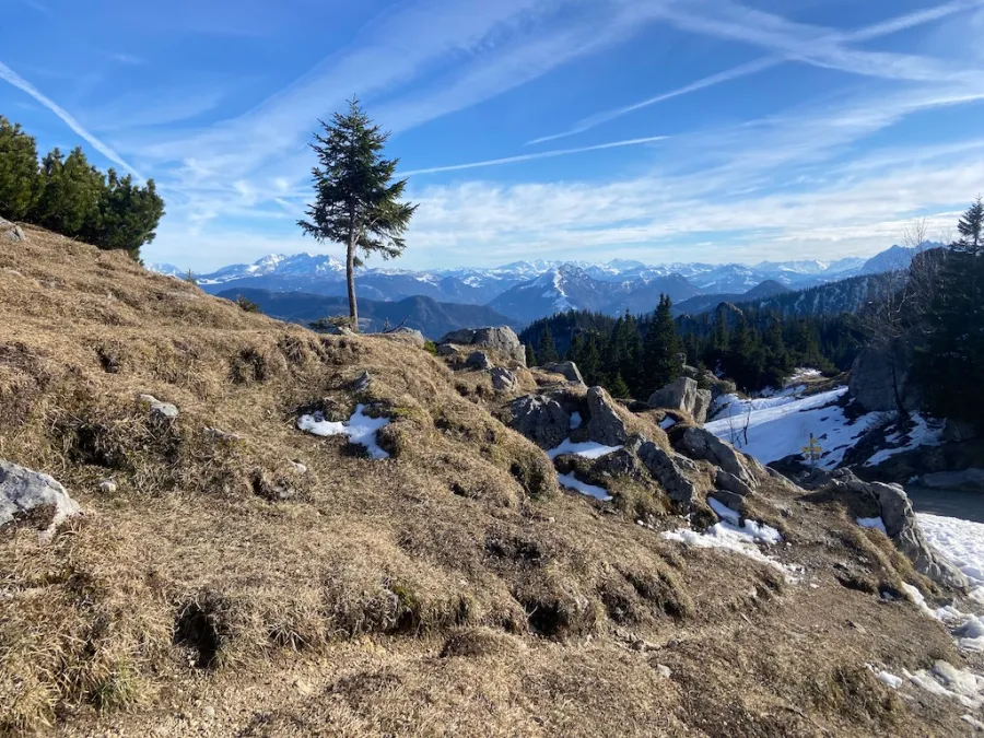 Zurück – in den Alpen