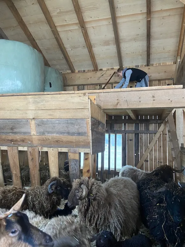 Zurück – in den Alpen