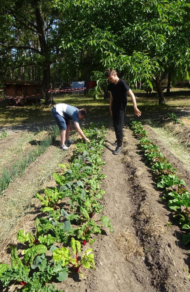 News aus dem Garten auf der Montessori Farm