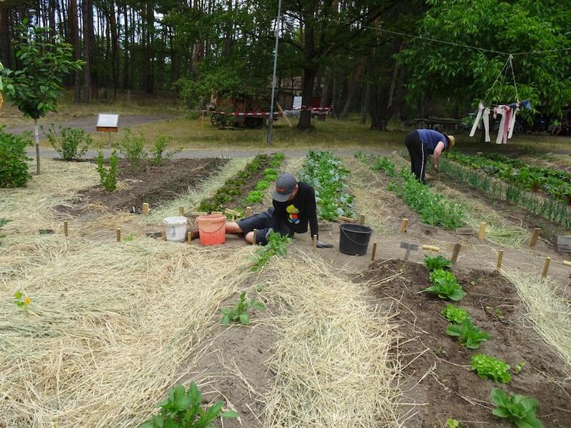 News aus dem Garten auf der Montessori Farm