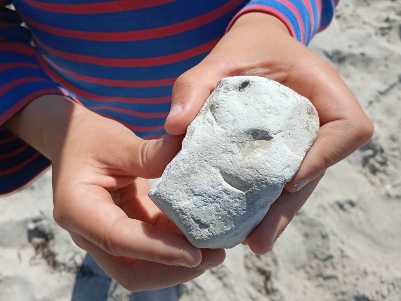 Grundschule Wittenberge