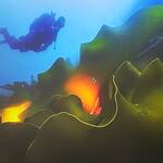 Taucher in der Antarktis