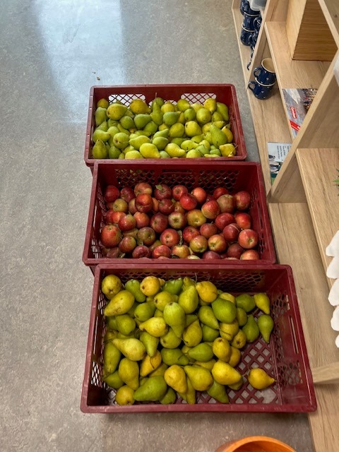 Bitte einmal frisch gepresst!