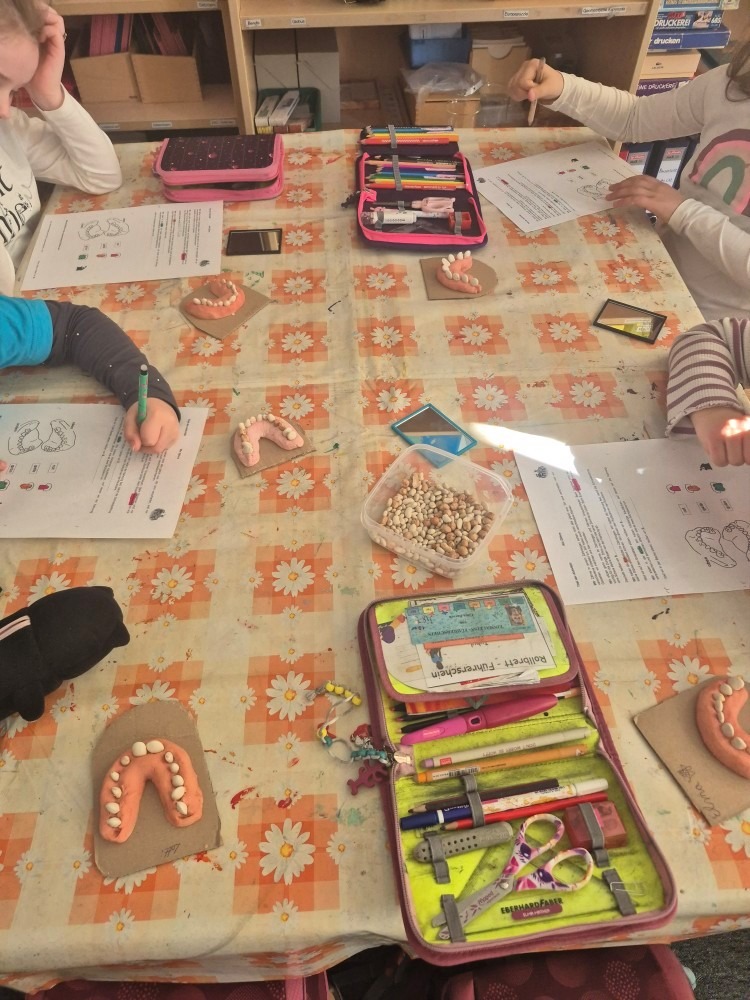 Mein Körper – entdecken, staunen und verstehen