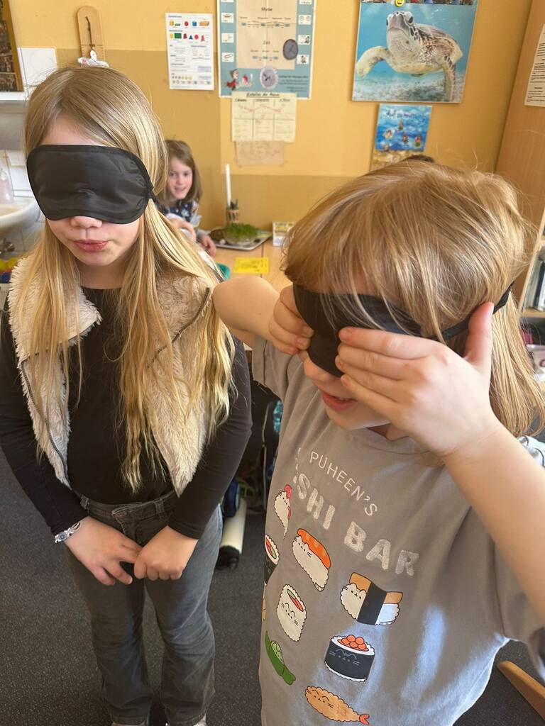 Mein Körper – entdecken, staunen und verstehen